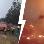 strażacy pożar australia