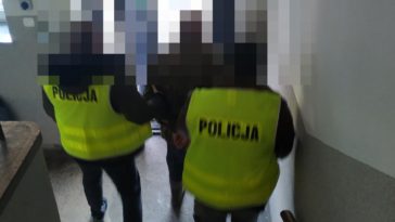 policja zatrzymanie pies lubań