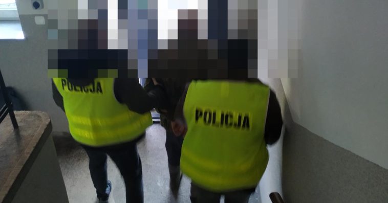 policja zatrzymanie pies lubań