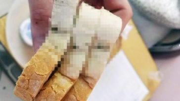 jedzenie szpitale pleśń