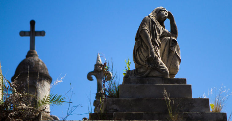 umieralność w polsce gus alarmujące dane dzietność