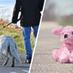 Ograniczenia w Hiszpanii pluszak spacer