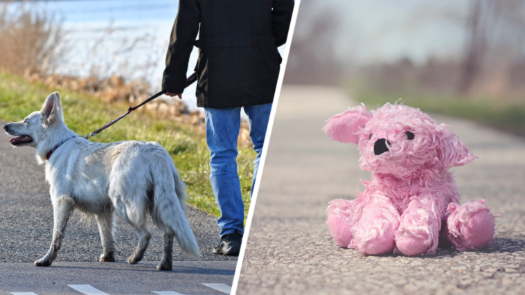 Ograniczenia w Hiszpanii pluszak spacer