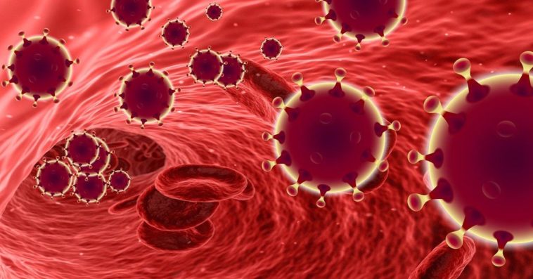 grupa krwi a koronawirus