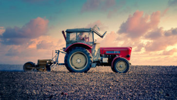 minister rolnictwa koronawirus bezrobotni