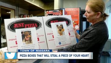 pudełka pizzy z psami just pizza