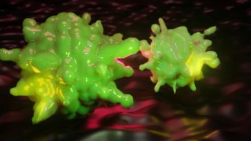 zakażenie koronawirusem za pieniądze