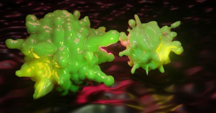 zakażenie koronawirusem za pieniądze