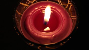 honor blackman nie żyje