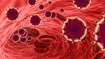 krew wyleczonych z koronawirusa