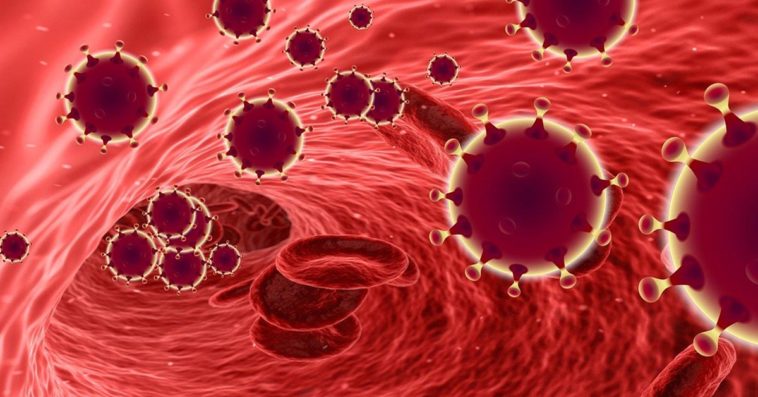 krew wyleczonych z koronawirusa