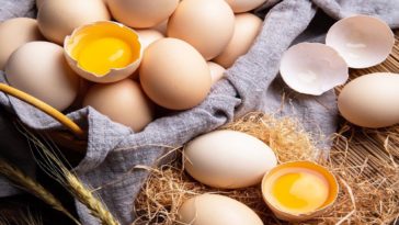 skorupki od jajek