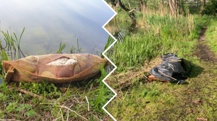 Zwłoki psa zawinięte w dywan wrocław leśnica