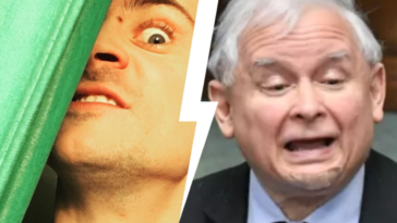 mateusz damięcki kaczyński chamska hołota ultimatum