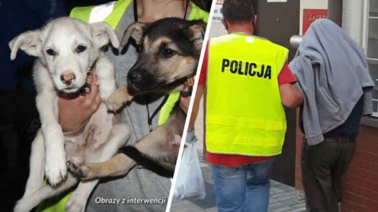 schronisko radysy prokuratura zatrzymany Zbigniew policja