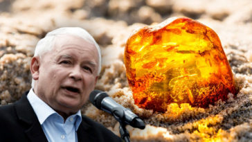 przekop mierzei wiślanej 7 ton bursztynu złoże odkrycie pis