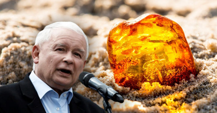 przekop mierzei wiślanej 7 ton bursztynu złoże odkrycie pis