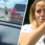 wymachiwała psem znęcanie się nad zwierzętami kodeks karny