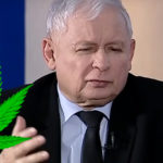 jarosław kaczyński zioło zielarka znachor zdrowie wiek prezes pis