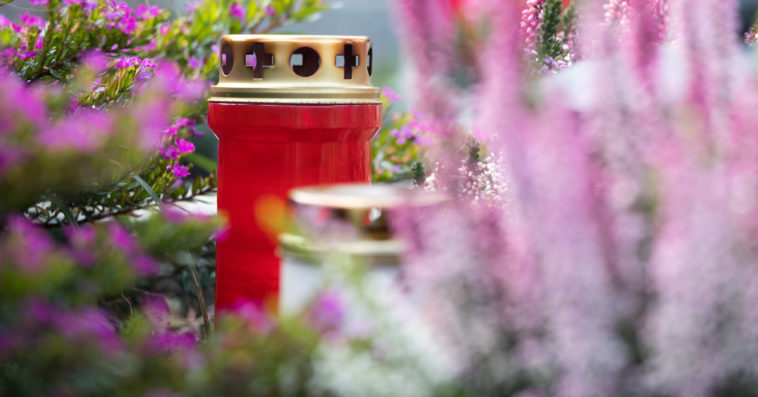 piotr szczepanik nie żyje rodzina piosenki wiek