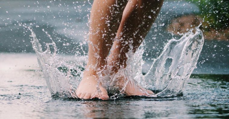 podatek deszcz deszczówka 1350