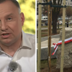 andrzej duda dąb józef piłsudski 100 tysięcy drzew na stulecie niepodległości