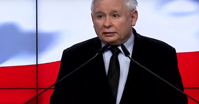 kaczyński piątka dla zwierząt hodowla zwierząt futerkowych cyrk ubój rytualny