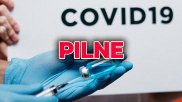 koronawirus w polsce rekord zakażeń ministerstwo zdrowia w polsce