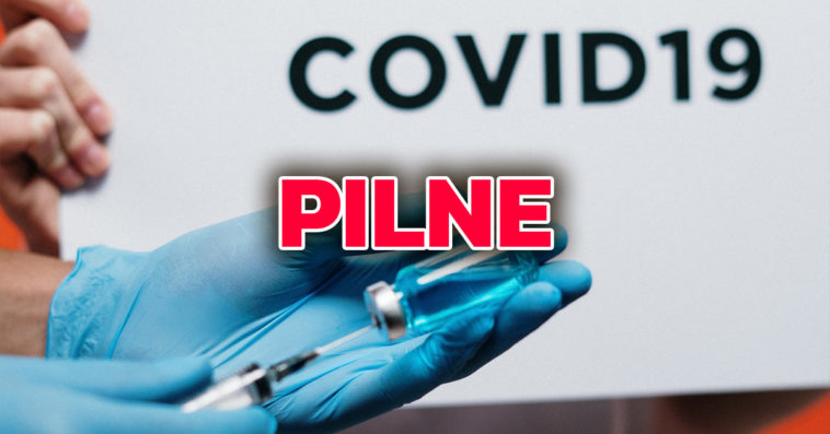 koronawirus w polsce rekord zakażeń ministerstwo zdrowia w polsce