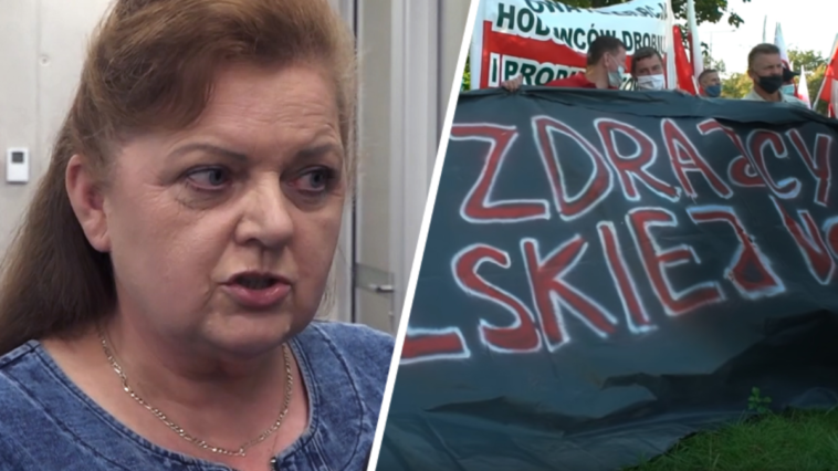 renata beger protesty rolników piątka dla zwierząt ubój rytualny zakaz hodowli kurwiki w oczach