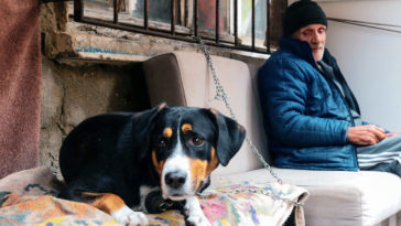 zus pracownicze plany kapitałowe czy warto kalkulator zus bieda na starość emerytury