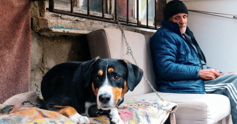 zus pracownicze plany kapitałowe czy warto kalkulator zus bieda na starość emerytury