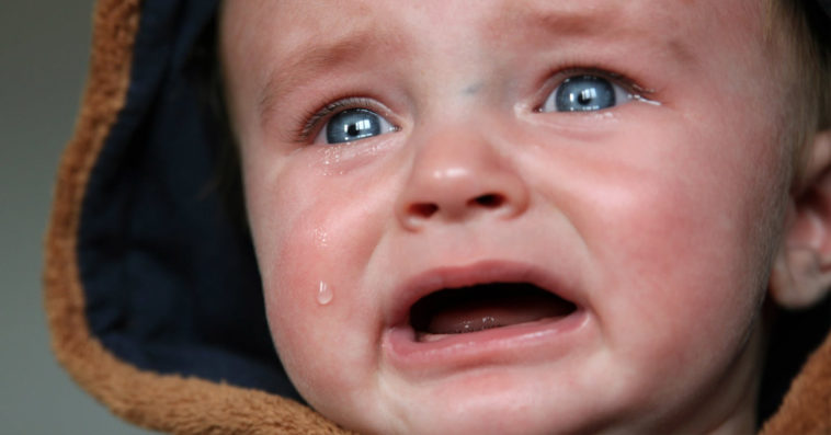 zmiany 500 plus zawieszone od 2021 co dalej z 500 plus 2021 wnioski maląg