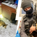 pies umarł na mrozie interwencja konrad kuźmiński