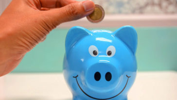 pracownicze plany kapitałowe ppk fiasko ppk czy warto rezygnacja od kiedy terminy