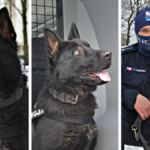policja suwałki podlaskie zdzisiek owczarek