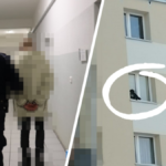 dramat pies lubin 9 piętro sprawca policja