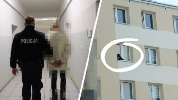 dramat pies lubin 9 piętro sprawca policja