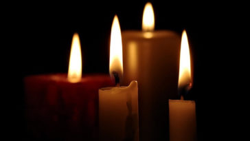 Anna Wasilewska platforma obywatelska koalicja olsztyn nie żyje