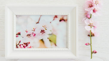 ramki na zdjecia na sciane pepco ikea plastikowe biale czarne wymiary drewniane jakie kupić