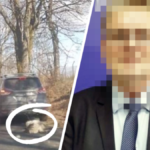 senator pis pies ciągnął psa za samochodem bonkowski pis znęcanie się nad psem