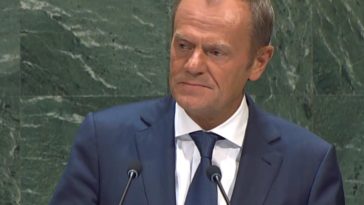 donald tusk powrót do polityki był premier szef epp forum ibris marcin duma