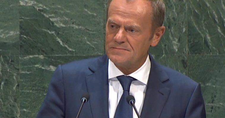 donald tusk powrót do polityki był premier szef epp forum ibris marcin duma