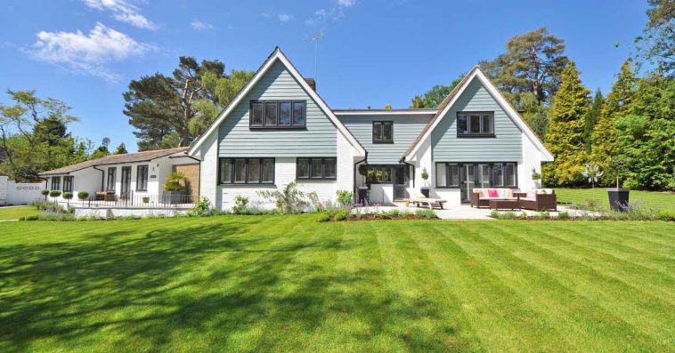 jak zadbać o trawnik porady w ogrodzie