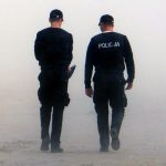 spis powszechny grzywna kara więzienia uchylanie się policja gus