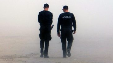 spis powszechny grzywna kara więzienia uchylanie się policja gus