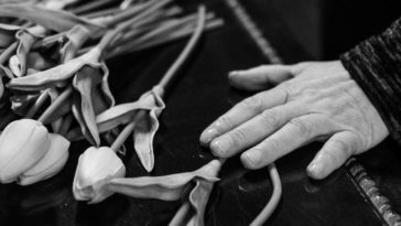 międzynarodowy transport zmarłego cennik przepisy