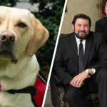 pies pracownik zakładu pogrzebowego