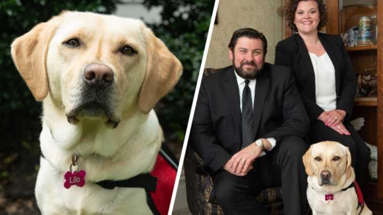 pies pracownik zakładu pogrzebowego