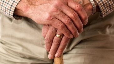 500 plus dla seniora wniosek zus